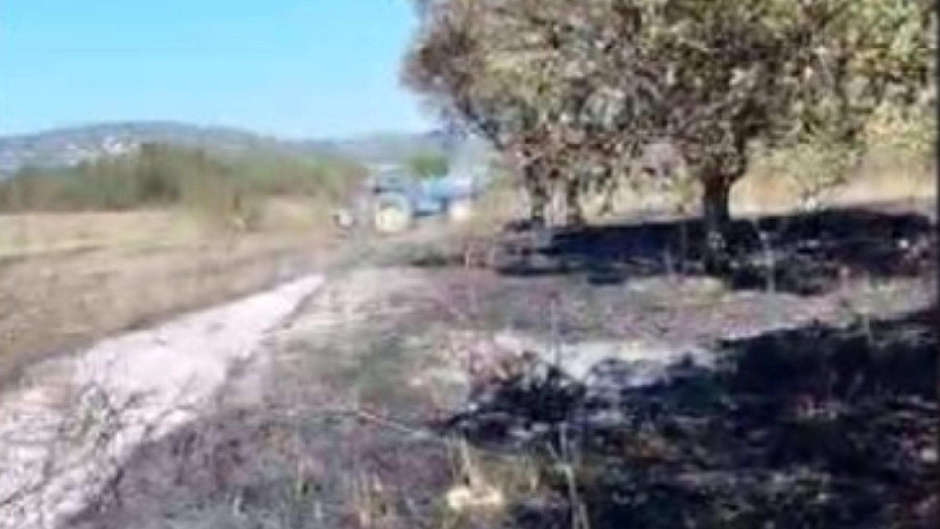 Zjarr në Mifol të Vlorës, digjet parcela me ullinj 18 foto 2