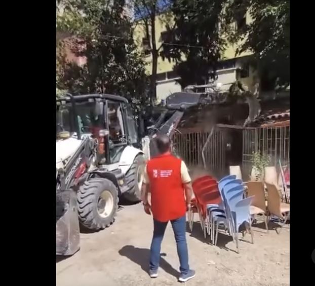 ‘Një pemë për çdo karrige në hapësirën publike’/ Reagon Rama: Qeveria do të krijojë Fondin e Gjelbërt