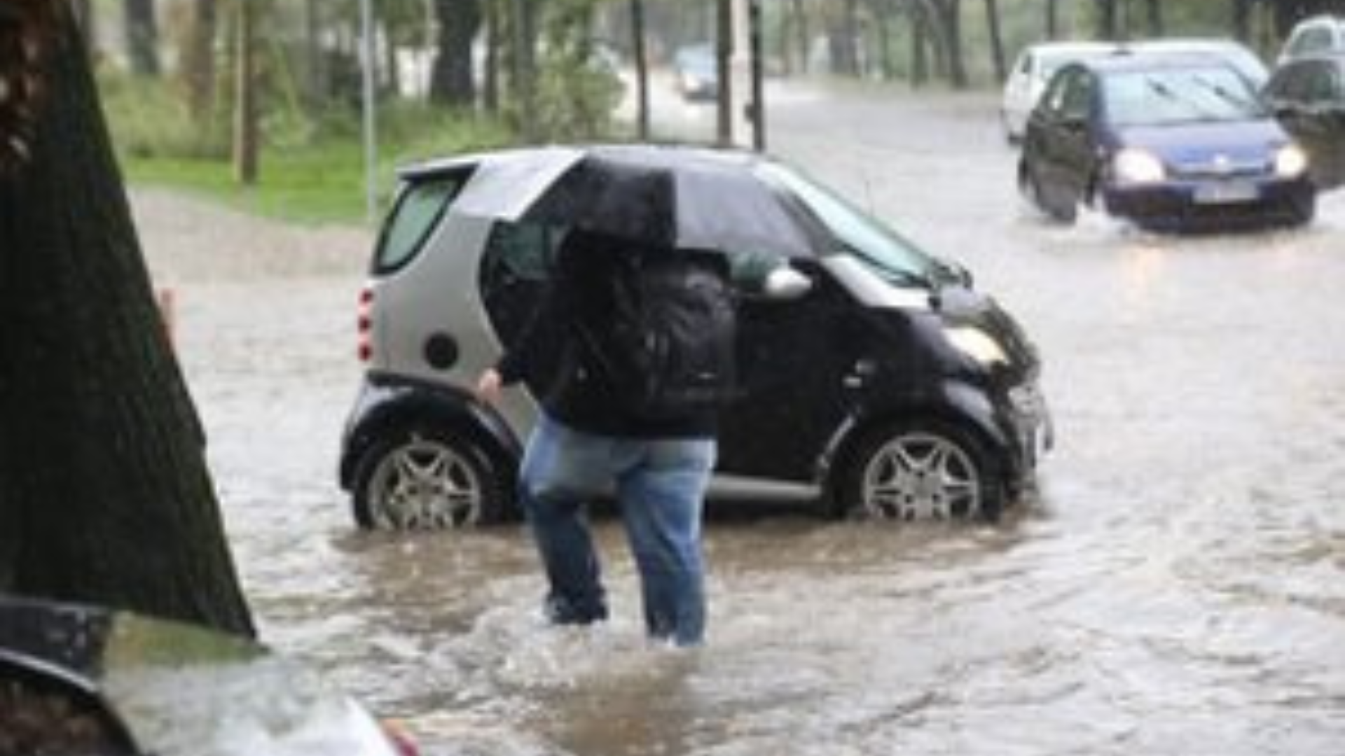 Progetto senza titolo 24