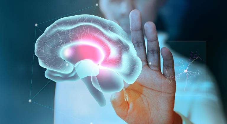 Dita e Alzheimerit, sot: si njihet sëmundja? Cilat janë simptomat? Si trajtohet? Shenjat paralajmëruese