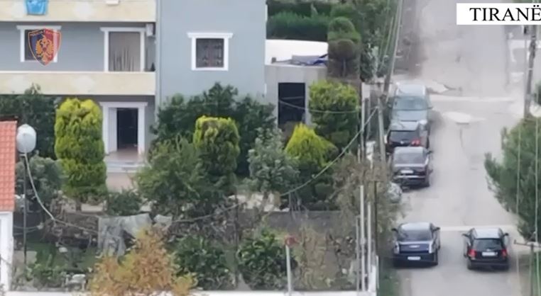 Goditet grupi kriminal, trafikonte vepra arti të vjedhura në Europë, dy të arrestuar