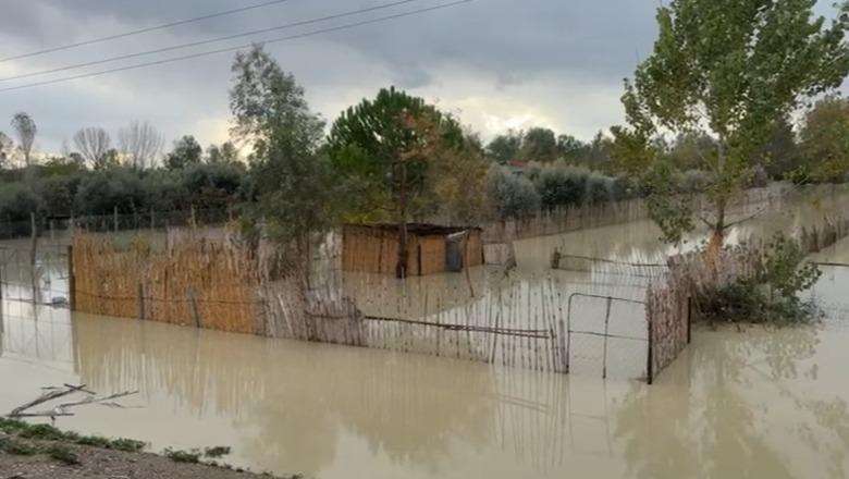 Reshjet e dendura të shiut dëmtojnë rrjetin, qytetarët në Kolonjë me ujë të ndotur, bashkia: Mos e pini!
