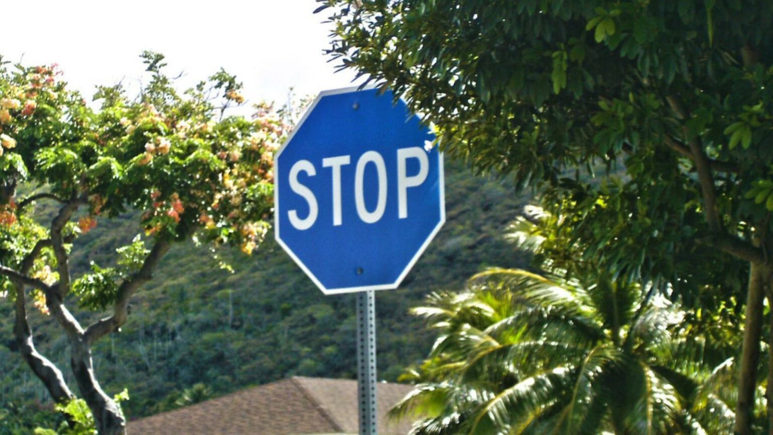 A keni hasur ndonjëherë në rrugë tabelën “STOP” me sfond blu? Ja çfarë kuptimi ka në vende të ndryshme