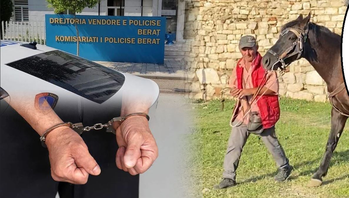 “Mos e prek kalin se është i acaruar sot!”/ Zbardhet dëshmia e vrasësit në Kalanë e Beratit: Thikën e fshija në…