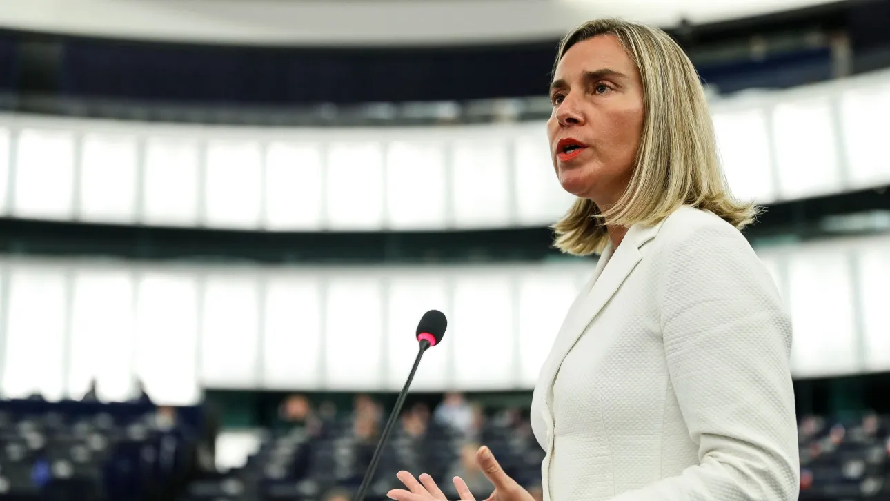4656c53f mongerinifederica