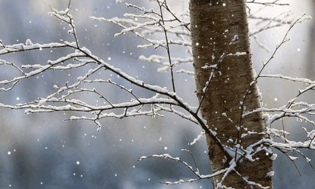 Acari i fundvitit ‘pushton’ Shqipërinë, ja sa do jenë temperaturat për Vitin e Ri 5 640 0 694e80b6cd8aa