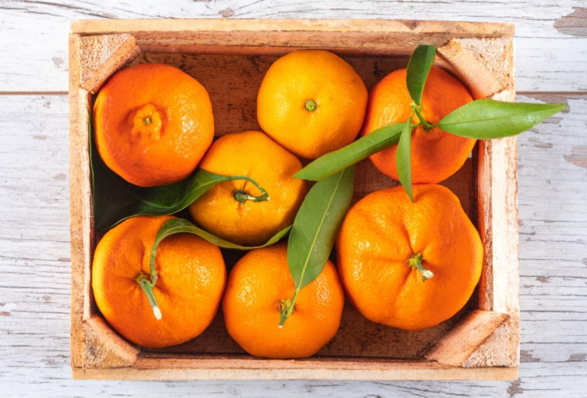 Sa mandarina duhet të hani për një dozë të mirë të vitaminës C?
