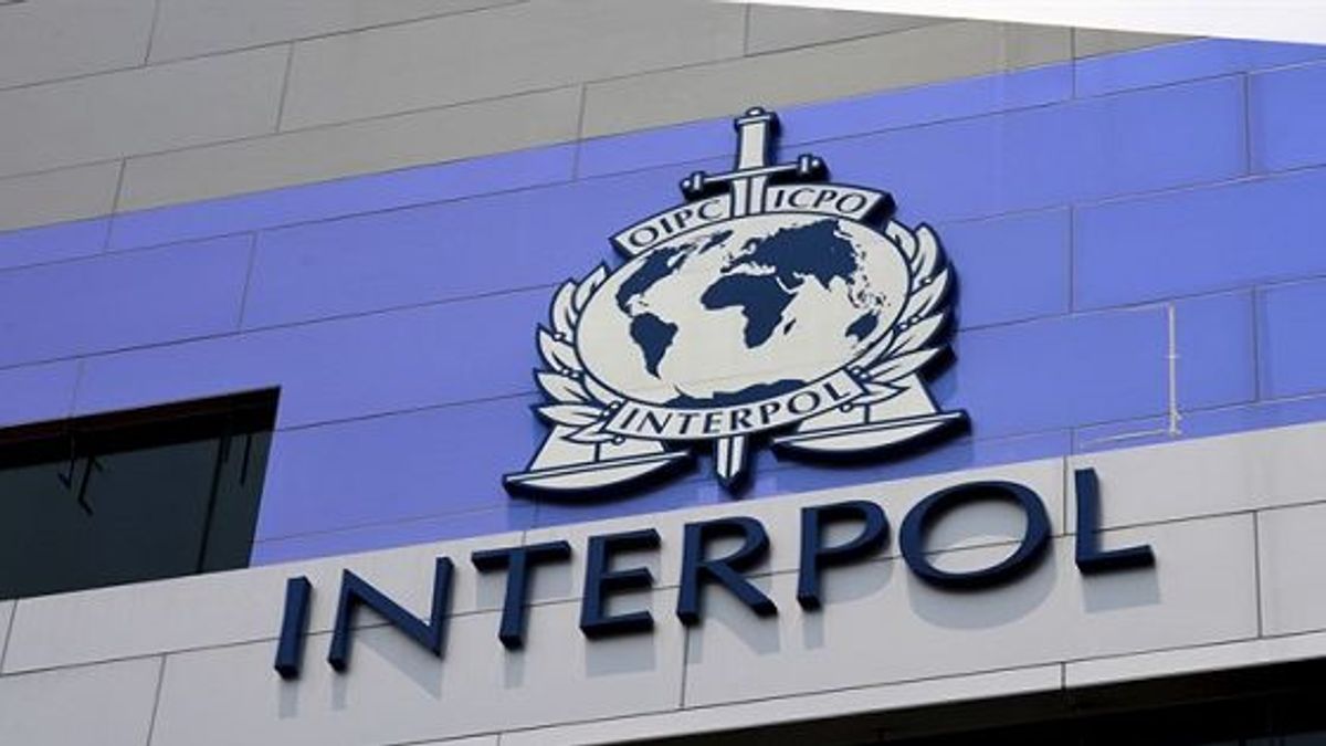 what-interpol-functions.jpg
