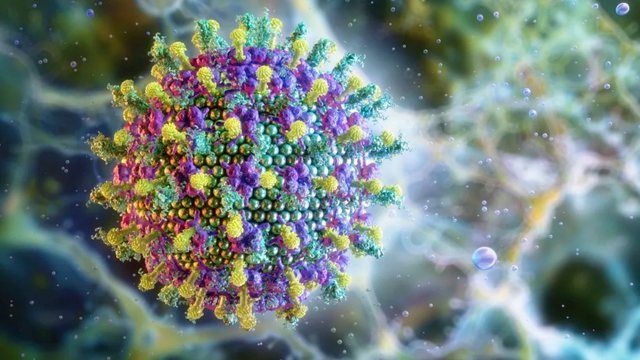 Transmetohet nga lakuriqët e natës/ A rrezikon virusi “Nipah” të kthehet në pandemi? Flet OBSH