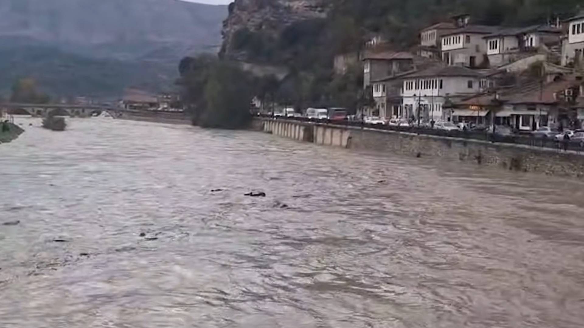 Aggiungi un sottotitolo 13