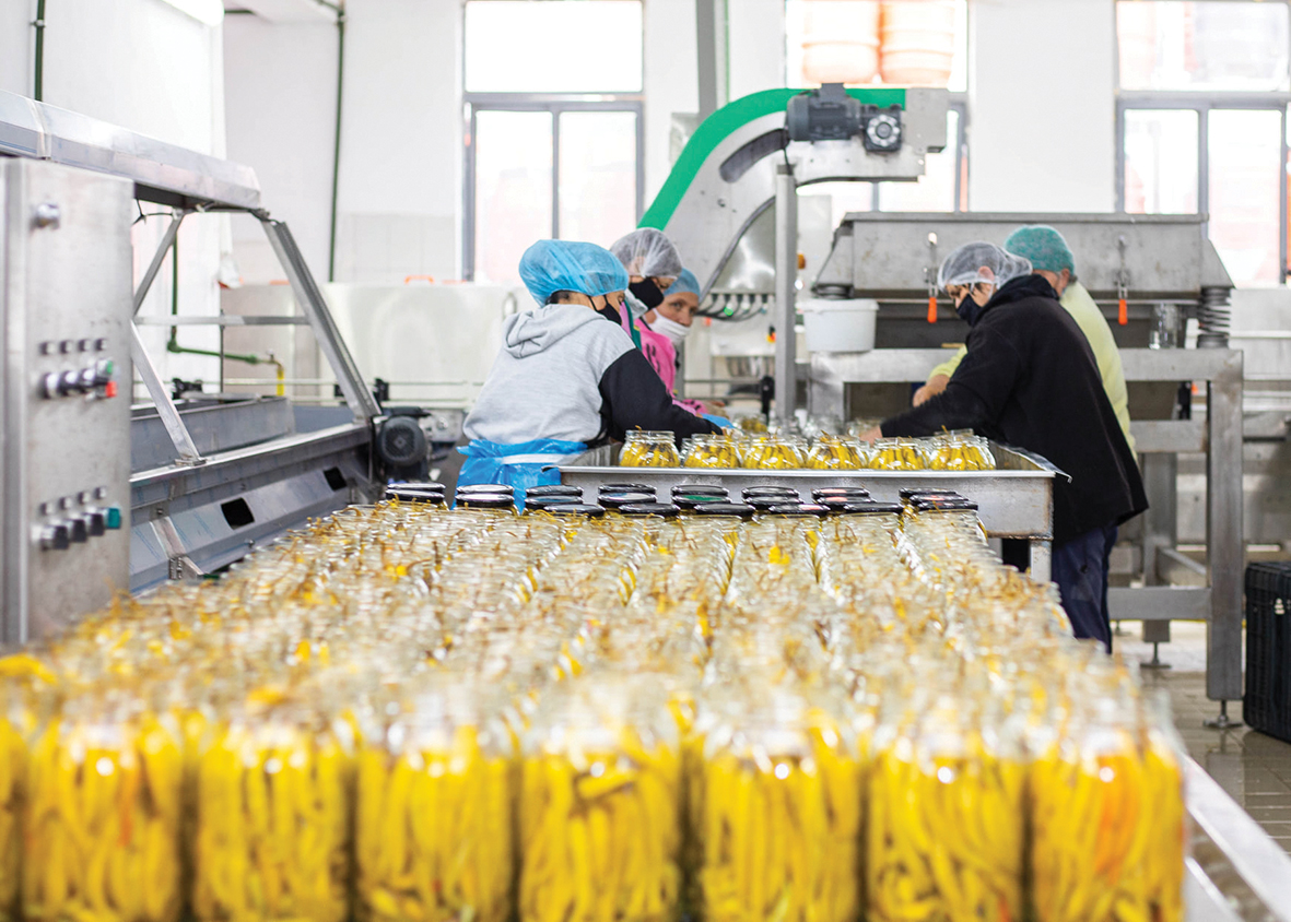Agroindustri prodhim spec djeges eksport Zdrava 1213