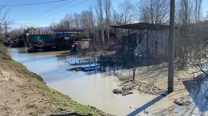 Semani del nga shtrati, përmbytje në fshatin Mbrostar, banorët kërkojnë ndihmë nga shteti 8 Capture 111