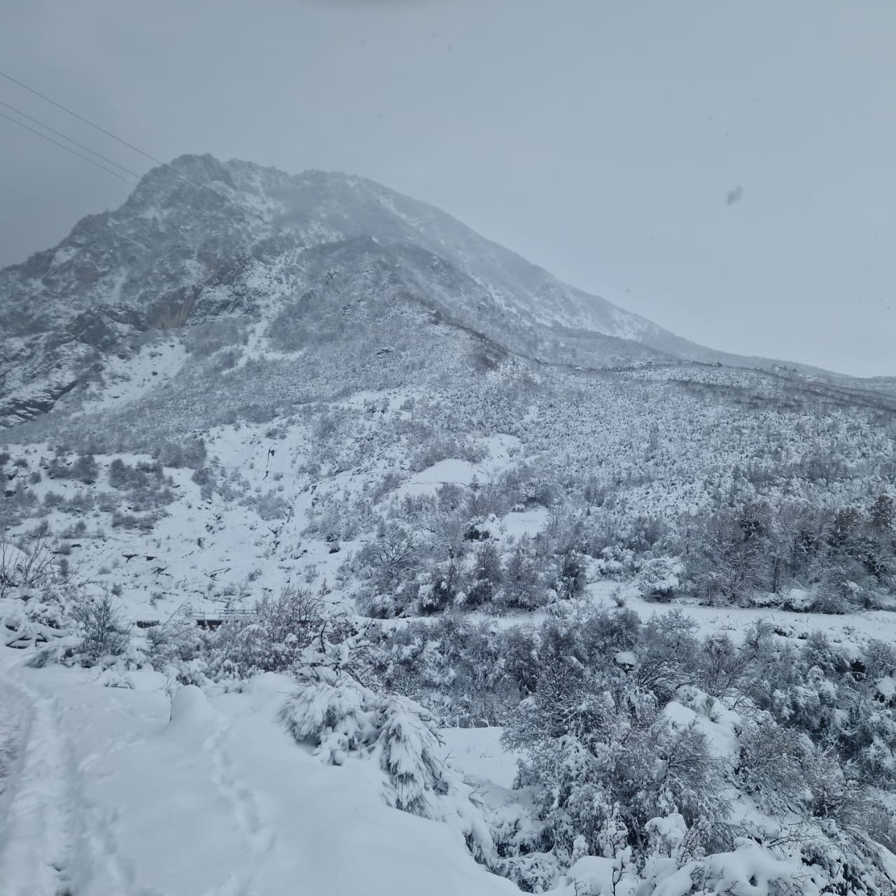 Gramsh/ Situatë e rëndë nga dëbora në njësinë administrative Kukur, fshatra të izoluar