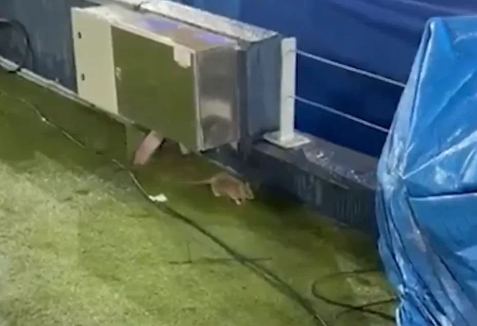 VIDEO/ Minjtë “hedhin valle” në “Camp Nou”, pamjet bëjnë xhiron e rrjetit