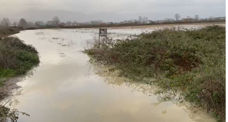 Rritet niveli i lumit Ishëm, përmbyten disa fshatra, dy lagje tërësisht të izoluara, qindra hektarë tokë bujqësore nën ujë 3 lumi ishem permbytje