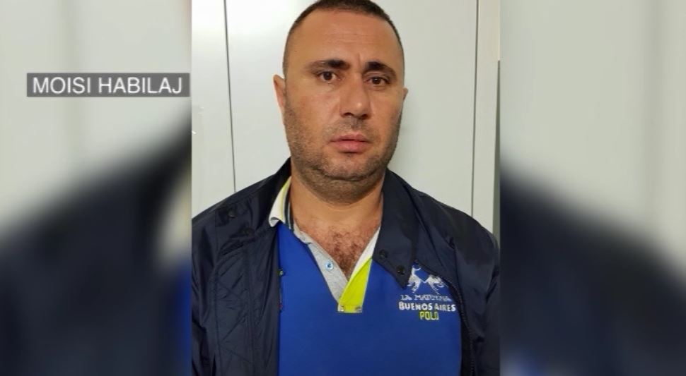 moisi habilaj
