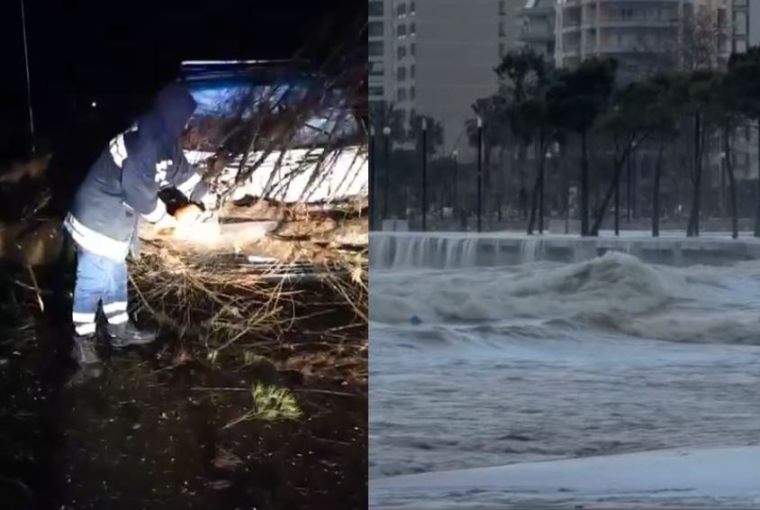 Mot i keq dhe erëra të forta/ Rrëzohet pisha në Pyllin e Sodës, bllokohet plotësisht aksi rrugor për në Zvërnec (VIDEO) 9 Capture 218