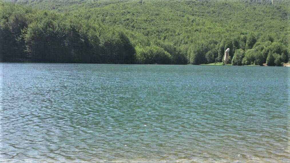 Rezervuari liqen
