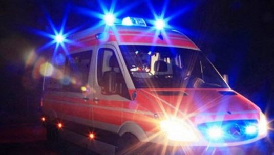 Korçë, kishte humbur prej 6 muajsh, gjendet i pajetë një endacak në zonën e Çardhakut