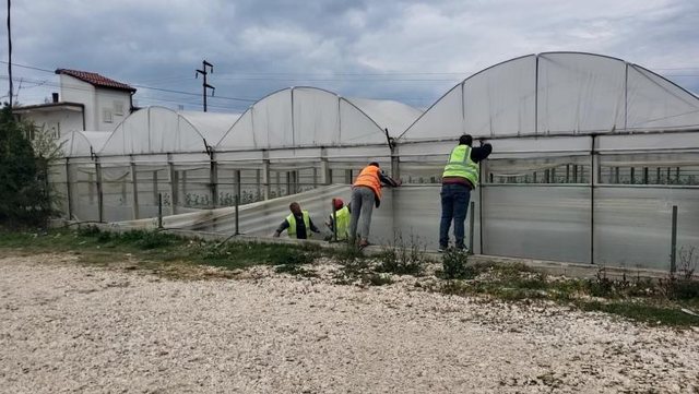 Tension në Dimal, IMT ndërhyn për prishjen e serës, fermeri: Po më falimentoni 16 640 0 69c546f288370