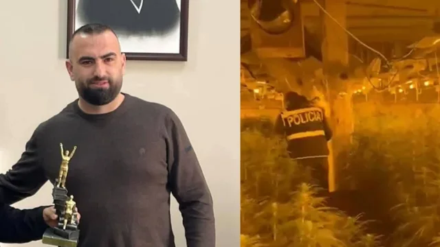 Si pularia e drejtorit të burgut u kthye në magazinë hashashi - Zbardhet dëshmia e Bilal Hasës: Gjatë Covid-it, pulat... 6 640 0 bilal hasa 1774790914