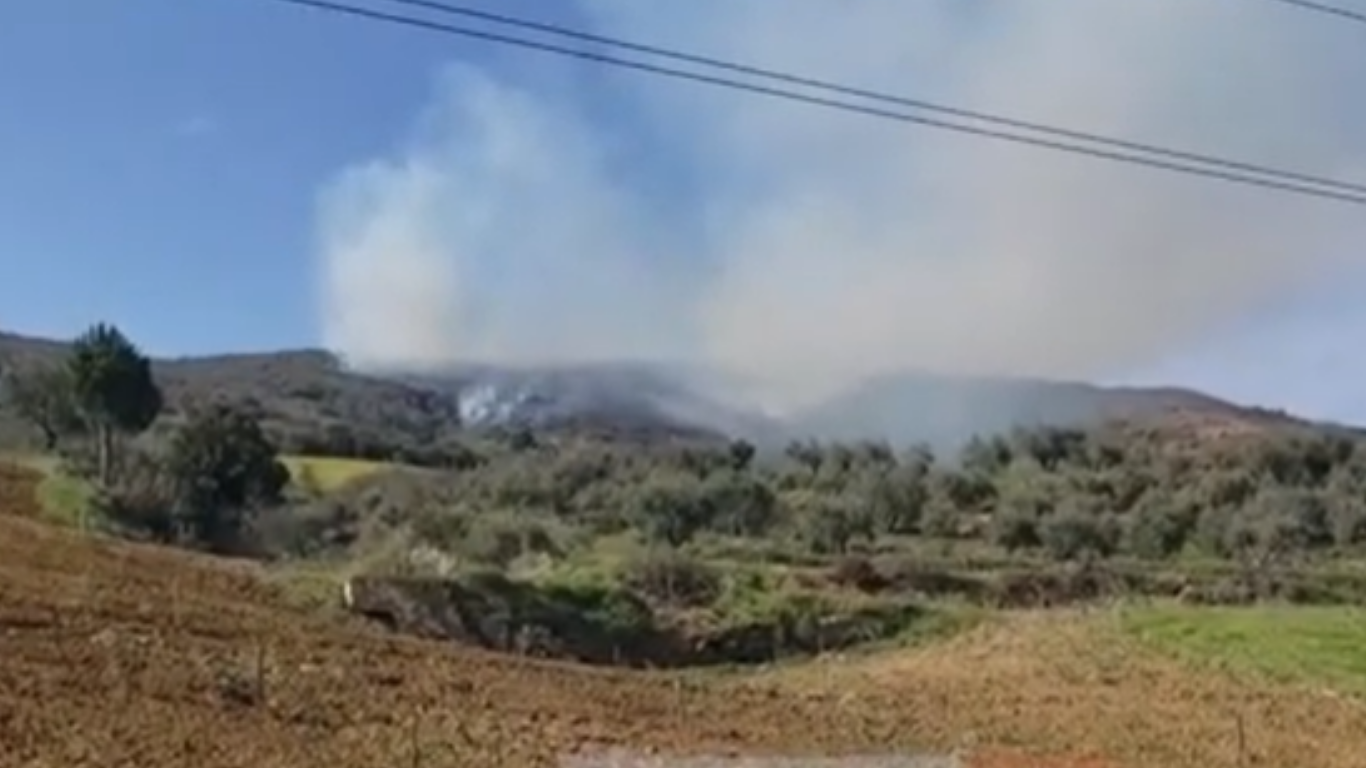 Zjarr në ullishtet e fshatit Duhanas në Berat, flakët përparojnë me shpejtësi drejt kodrës dhe zonës së gjelbëruar me pisha! 18 Progetto senza titolo 36