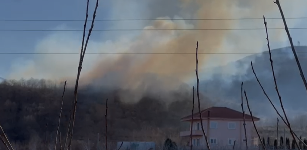 Zjarri përfshin një sipërfaqe pyjore në Leshnicë të Pogradecit, zjarrfikësit dhe banorët në luftë me flakët 3 zjarr