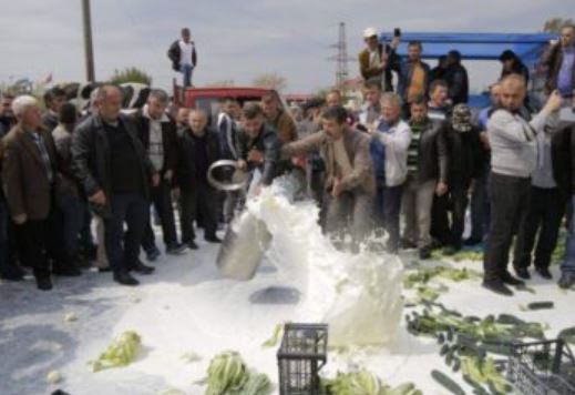 Rënie drastike e blegtorisë në Korçë, shkak kostot e larta të tokës me qira dhe çmimet e ulëta të qumështit