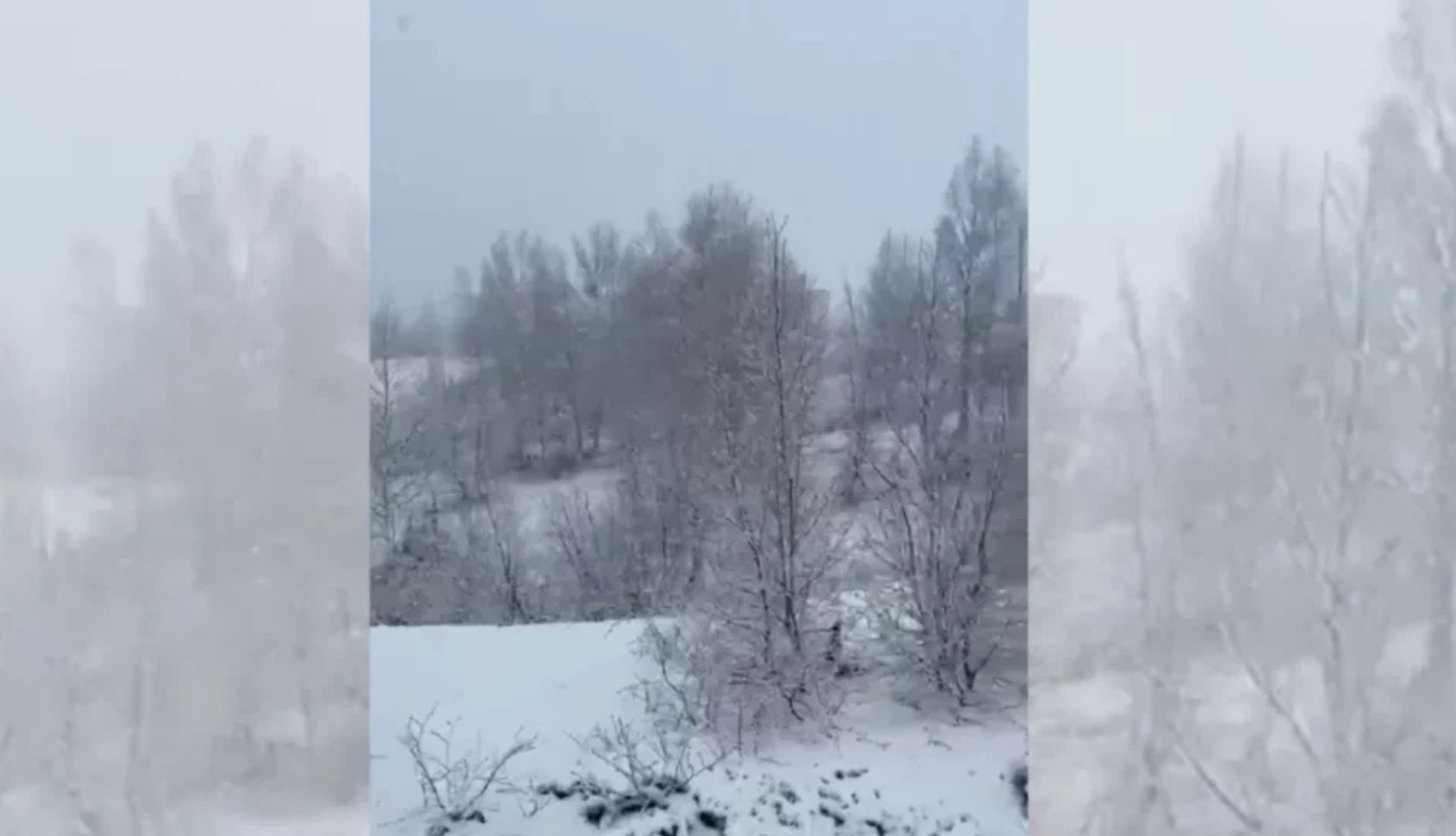 Pranverë me dëborë në zonat malore / Ulen temperaturat, ngrihet shqetësimi për dëme në kulturat bujqësore