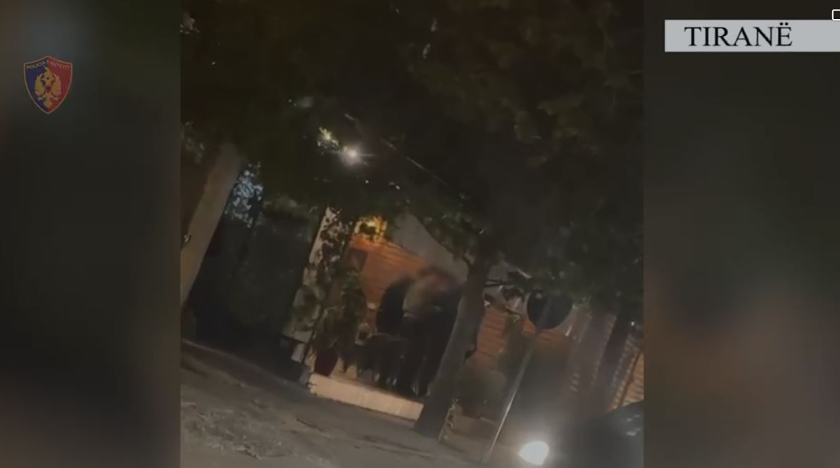Goditet grupi i trafikantëve të drogës në Tiranë, policia jep detajet: 15 të arrestuar pas 3 muajsh hetimesh. Kanabis e para të sekuestruara