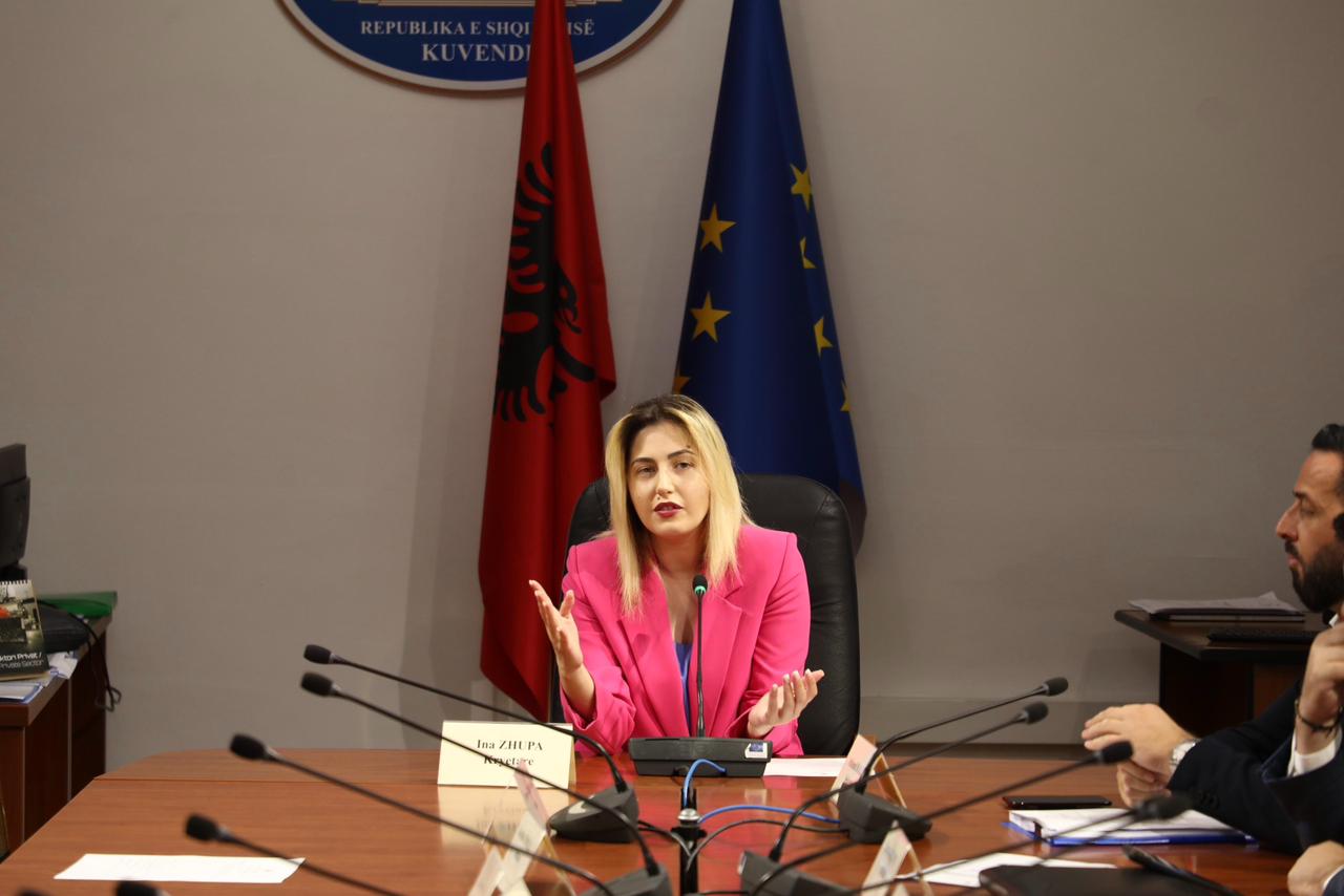 Dëgjesa me artistët, Ina Zhupa: Meritojnë njohje të titujve akademikë dhe lejimin e avancimit në karrierë