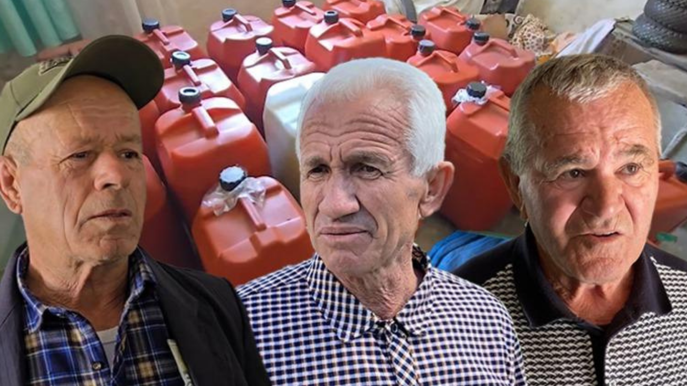 Vaji i ullirit stok në Mallakastër, fermerët kërkojnë markim për t’i hapur rrugën eksportit