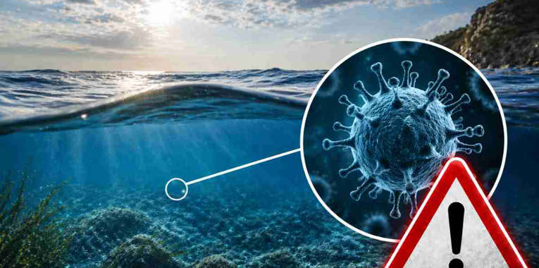 Virus i ri që përhapet në ujë, kujdes nga sytë, paralajmërim për verën e vitit 2026