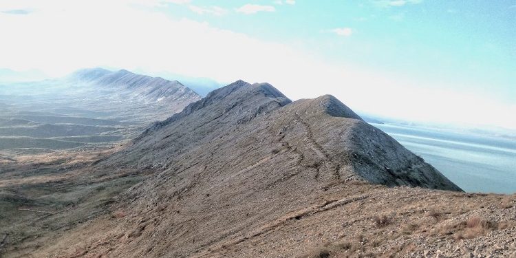 Mali Taraboshit 750x375 1
