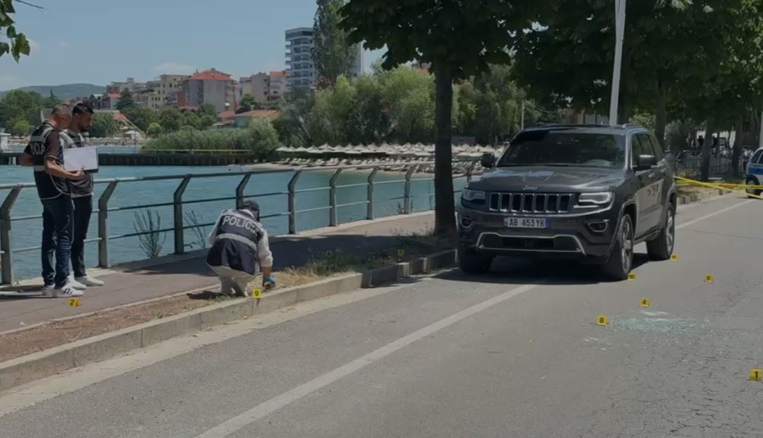 PLGOSJE NE POGRADEC