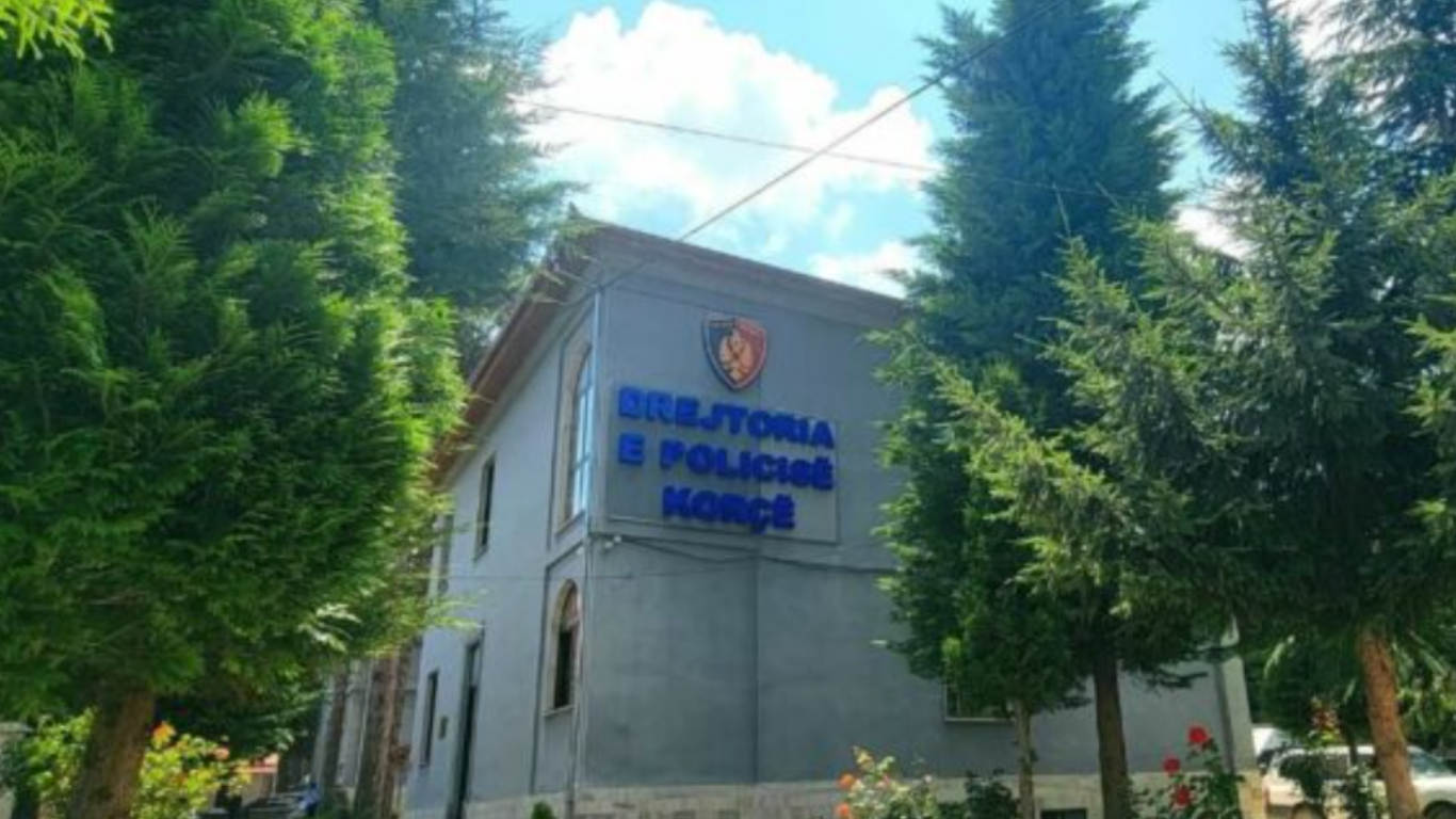 Mashtronin qytetarët duke u paraqitur si përfaqësues të një shoqate bamirësie, arrestohet çifti (EMRAT)