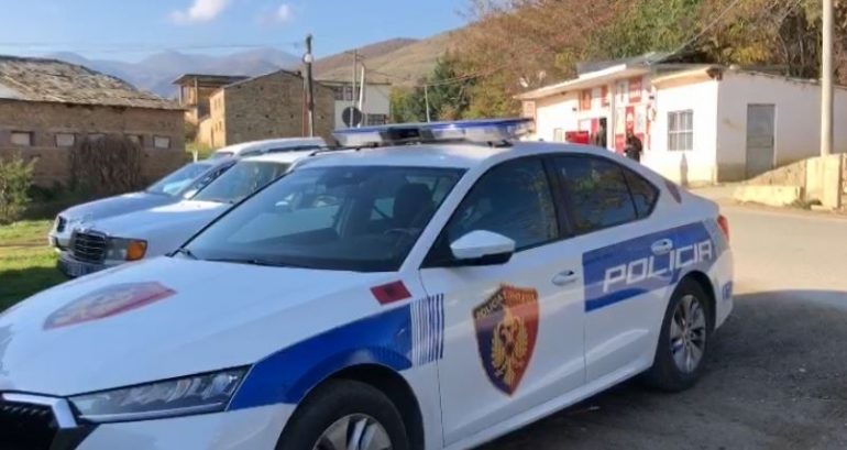 Aksident në aksin Pogradec-Lin/ Përpaslen dy automjete, dy të lënduar transportohen në spital 4 policia pogradec2