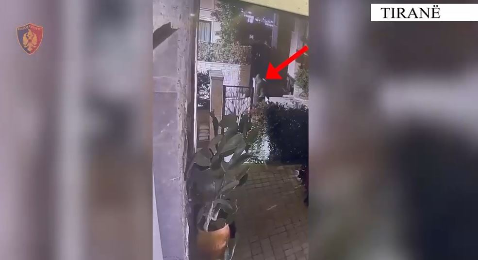 Me kaçavida e pinca/ Arrestohet ‘skifteri’, vidhte banesa të ndryshme në Tiranë! Kamerat kapin lëvizjet e autorit (VIDEO) 13 policia tirane vjedhje