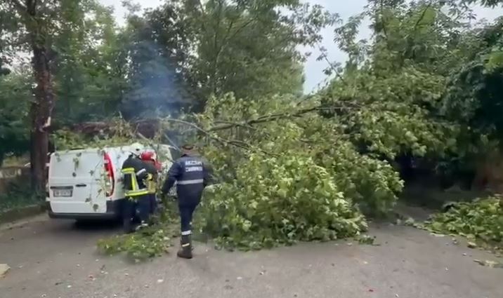 Rrëzime pemësh dhe probleme në rrugë/ Reshjet e shiut dhe breshrit shkaktojnë pengesa në qarkun e Korçës. Fshatrat e Pustecit pa energji 14 reshje shu