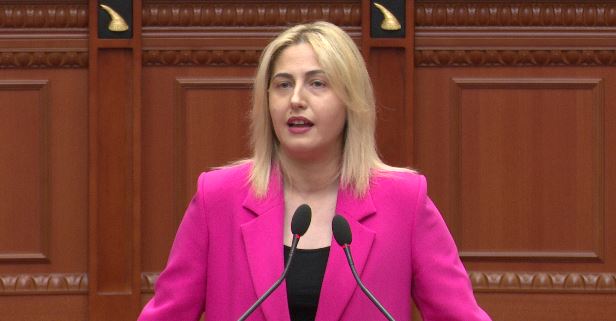 “Aksionerët i zuri mallkimi i flamingove”/ Zhupa reagon për përplasjet në Aeroportin e Vlorës: Rama vendosi interesat e ngushta mbi ligjin 10 zhupa 1