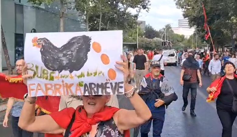 “Pula në burg! Është fabrikë e ‘armëve’”/ 58 ditë revoltë për dorëheqjen e Ramës, protestuesit ironi me pankarta 14 Capture 268