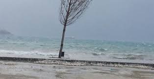 Deti i trazuar ne vlore