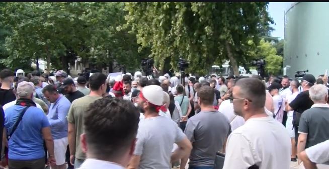 PROTESTA 7