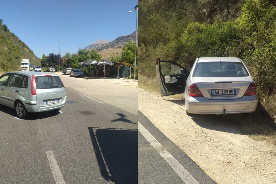 cekja 123