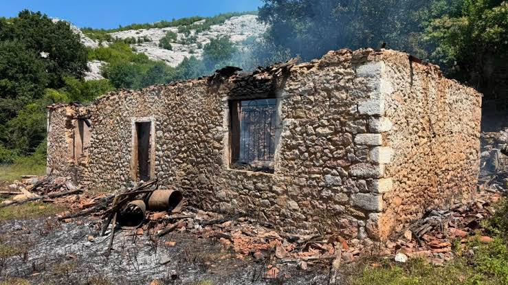 Tragjedia me 3 viktima në Shkodër, vijojnë hetimet/ Nëna e Bleona Çelajt denoncon: Vajza më dhunohej nga bashkëshorti 11 images 2 4