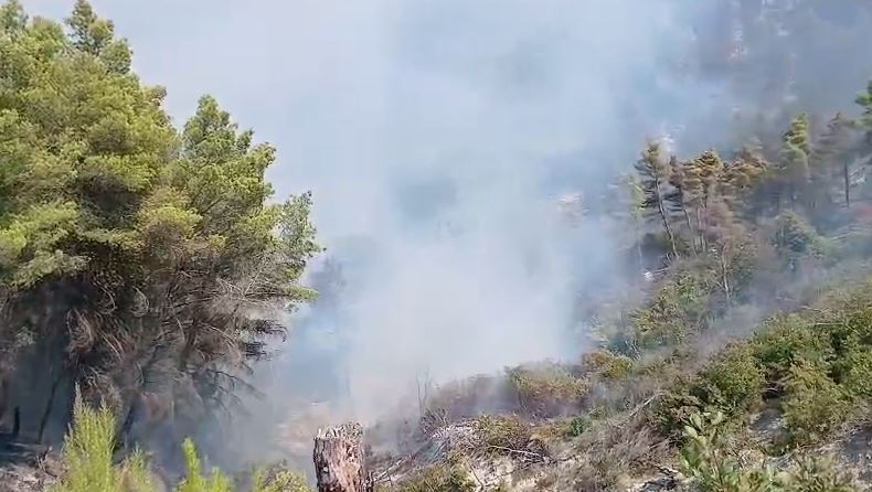 Mallakastër/ Zjarri del jashtë kontrollit në masivin pyjor të Drenijës! Pas Ngrëçanit, pritet ndërhyrja nga ajri 8 0000 1