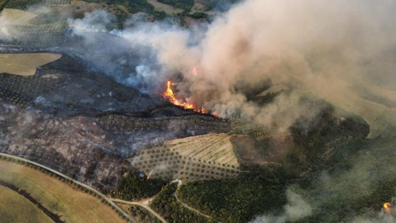 Zjarri në Mallakastër, nis ndërhyrja me avion! S’ka më rrezik për banesat 10 1786211037 mallakaster