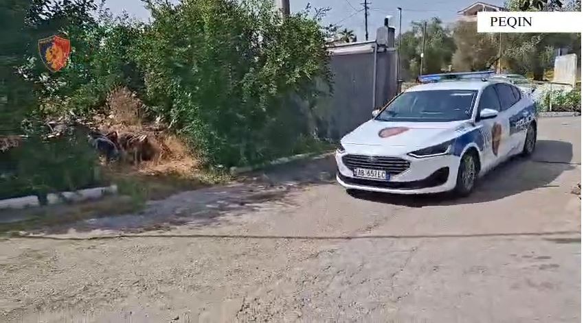 policia Peqin1