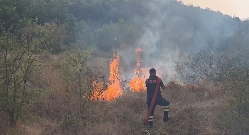 Alarm nga zjarret në Bulqizë/ Flakët përhapen me shpejtësi në Zall-Strikçan, rrezikohen banesat 13 rtyrtyrtyrty 5