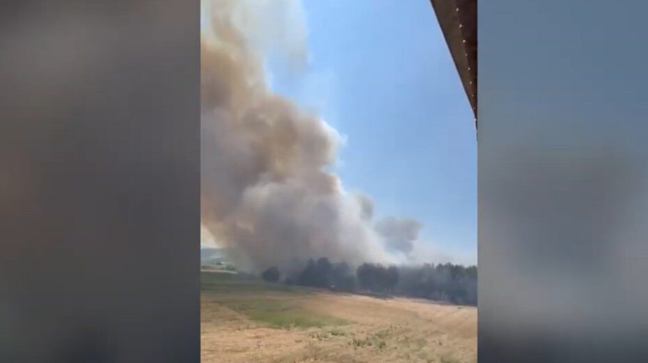 150 mjete të djegura dhe disa hektarë pemëtore të shkrumbuara, ja çfarë la pas zjarri në Selenicë 4 zjarr 5
